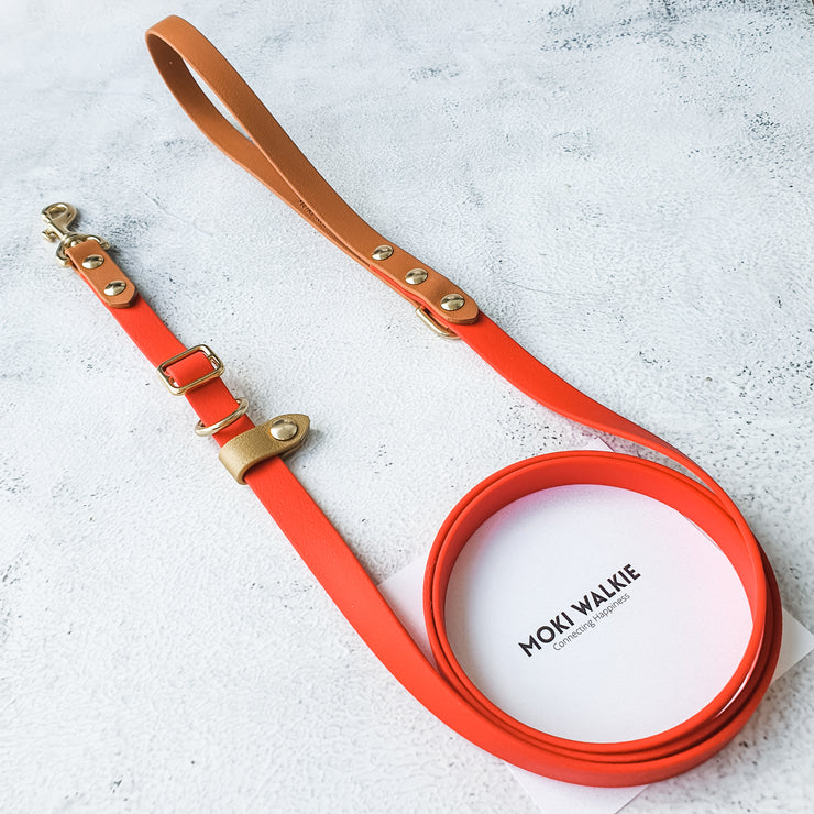 Classic Slip Leash
