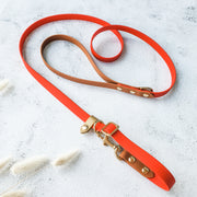 Classic Slip Leash