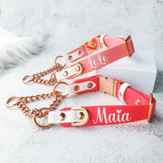 Fat Easy Clip Adjustable Martingale Collar