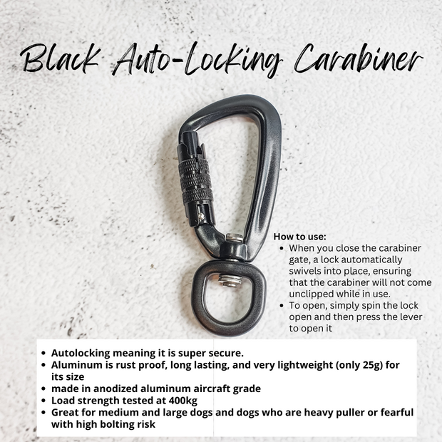 Skinny Rainbow Multiway Leash