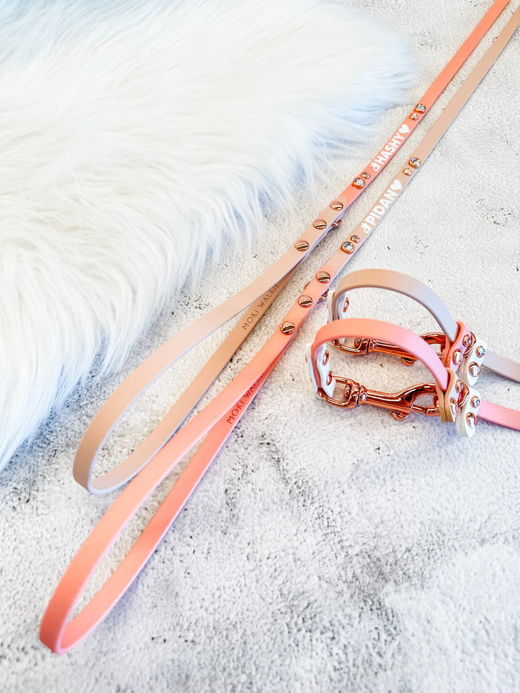 Skinny Slip Leash