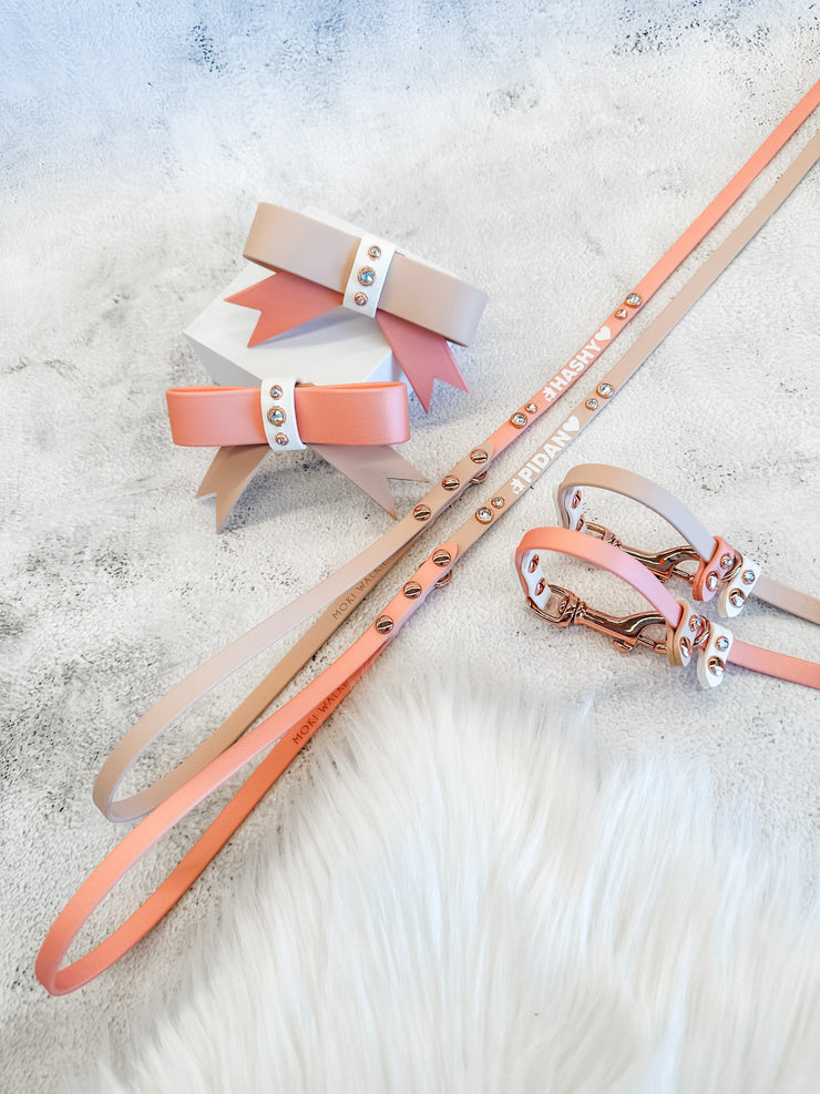 Skinny Slip Leash
