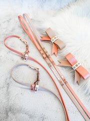 Skinny Slip Leash
