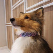 Easy Clip Flower Collar (Fixed)