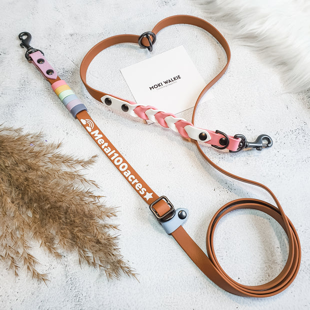 Rainbow Braided Multiway Leash