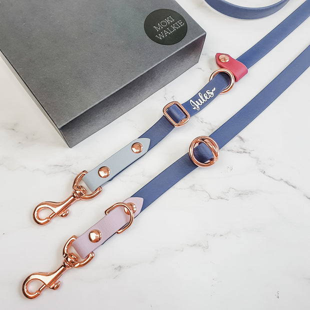 Rainbow Braided Multiway Leash