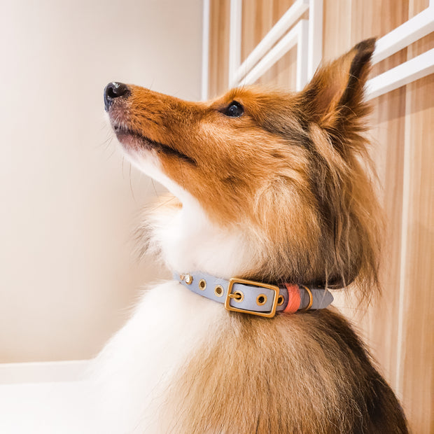 Classic Flower Collar