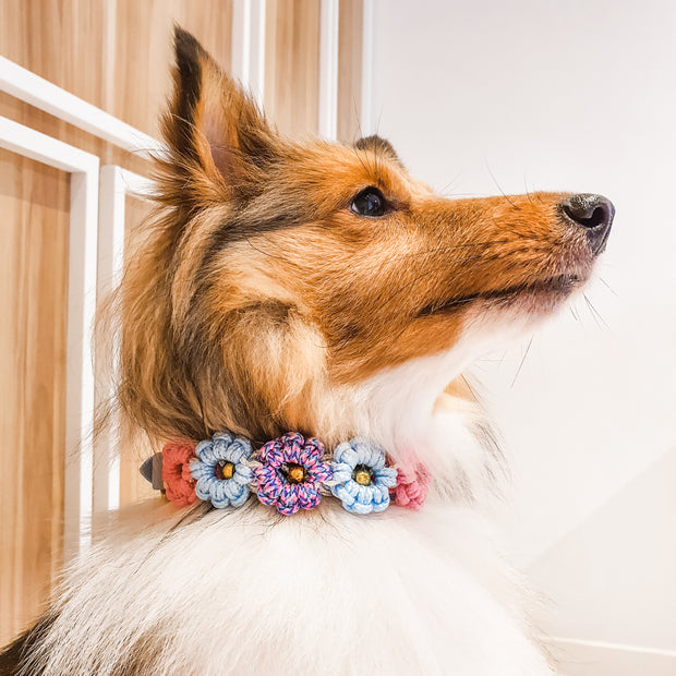 Waterproof Martingale Collar