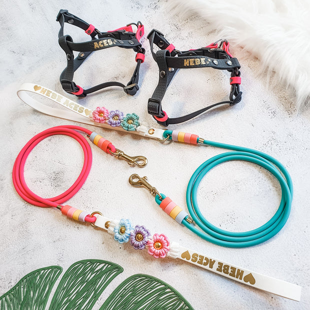 Flat Handle Rope Leash