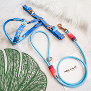 Rounded Rope Leash