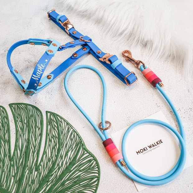 Rounded Rope Leash