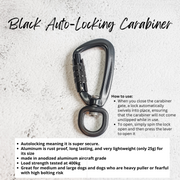 Rainbow Braided Multiway Leash