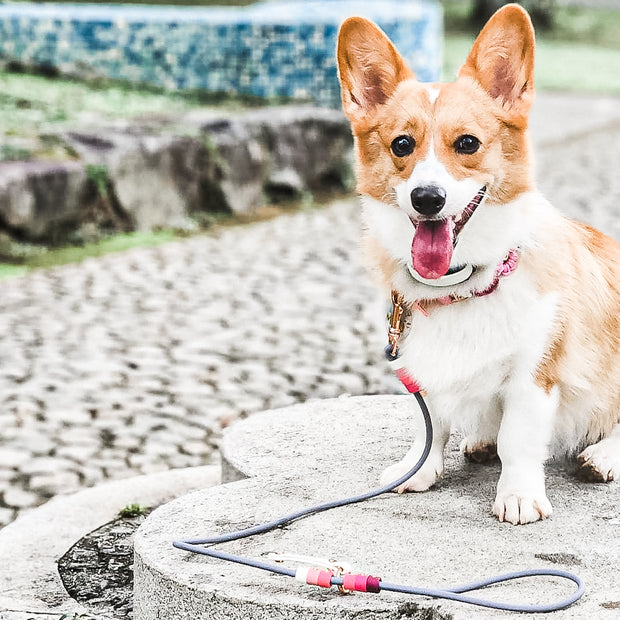 Rounded Rope Leash