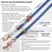 Rainbow Braided Multiway Leash