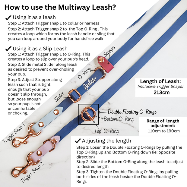 Rainbow Braided Multiway Leash