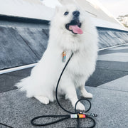 Rounded Rope Leash