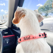 Pink Collar