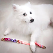 Easy Clip Flower Collar (Adjustable)
