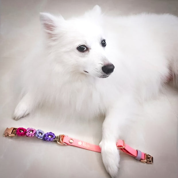Easy Clip Flower Collar (Adjustable)