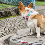 Classic Flower Collar