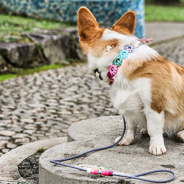 Classic Flower Collar