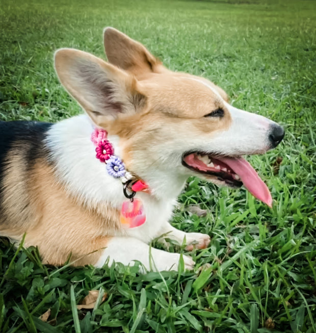 Easy Clip Flower Collar (Fixed)