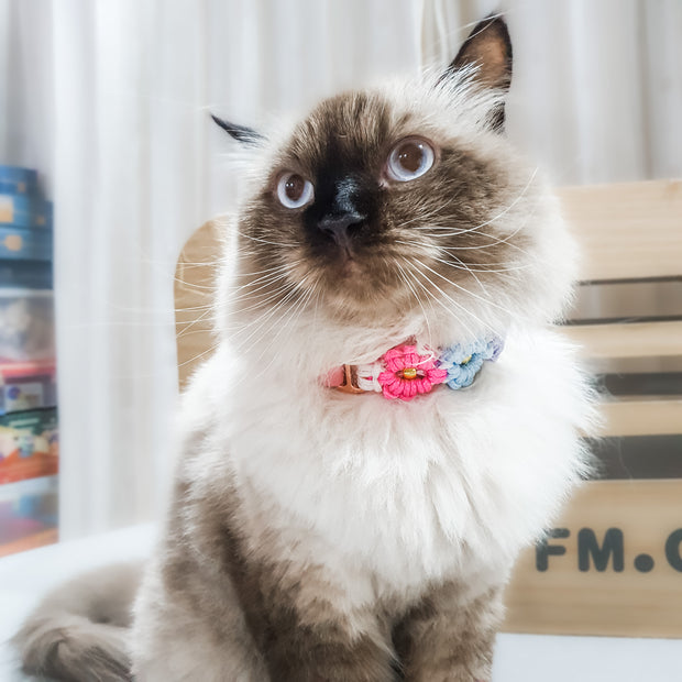 Easy Clip Flower Collar (Fixed)