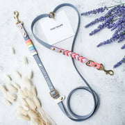 Rainbow Braided Multiway Leash