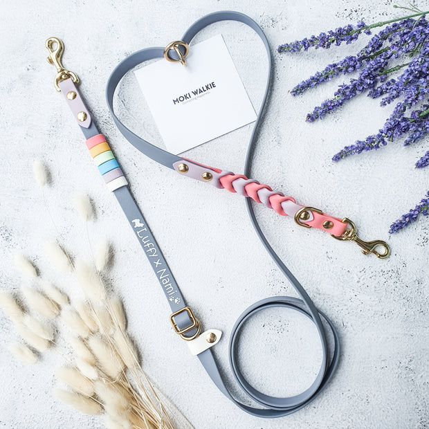 Rainbow Braided Multiway Leash
