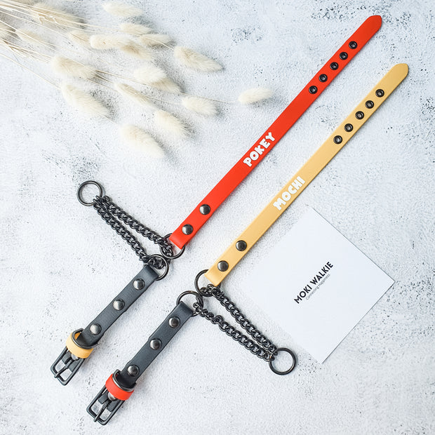 dog collar with chain