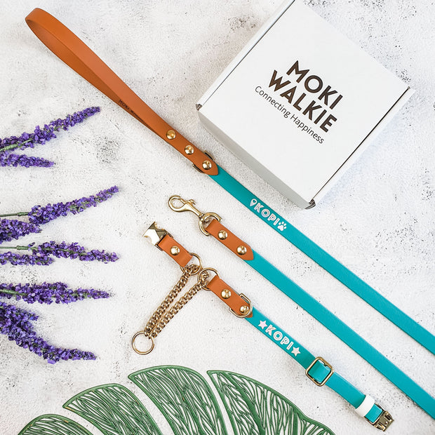 Easy Clip Adjustable Martingale Collar