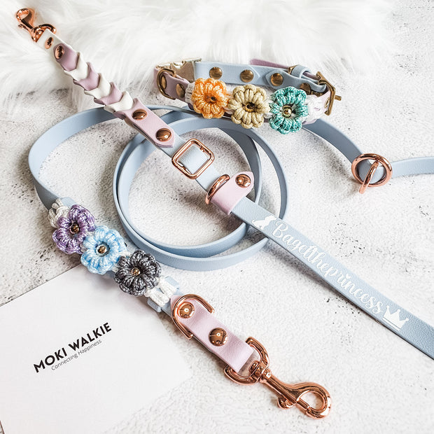 Rainbow Braided Multiway Leash
