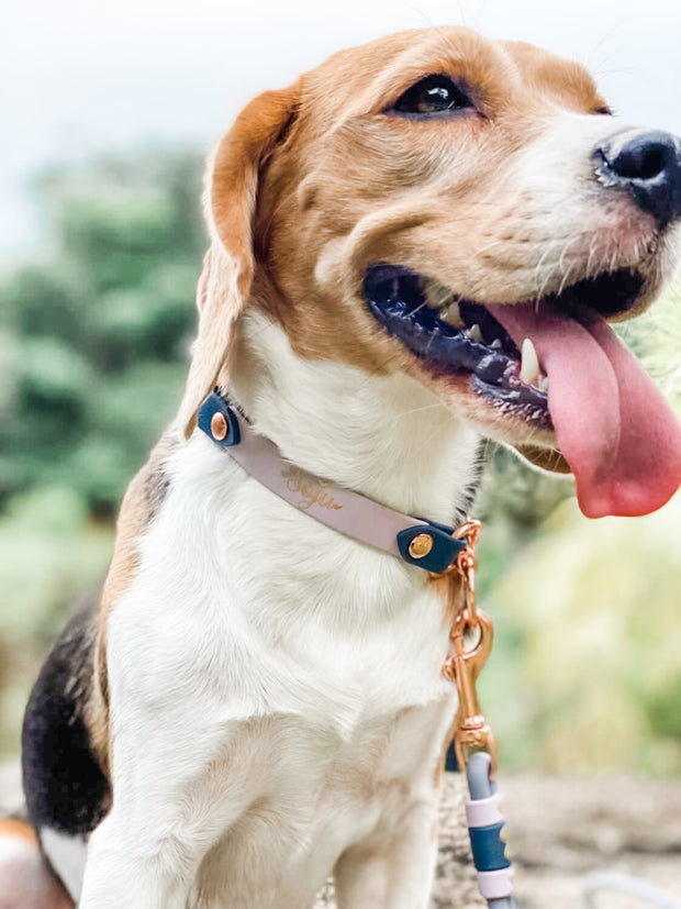 Easy Clip Fixed Martingale Collar