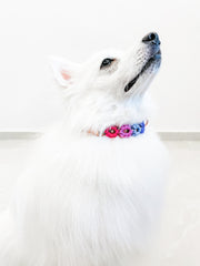 Easy Clip Flower Collar (Adjustable)