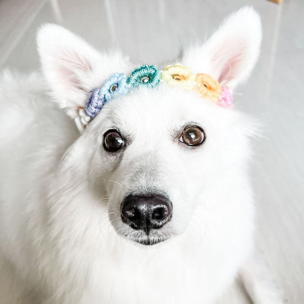 Easy Clip Flower Collar (Fixed)