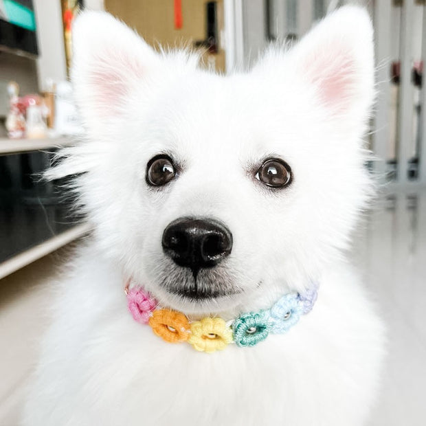 Easy Clip Flower Collar (Fixed)