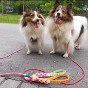 Flat Handle Rope Leash
