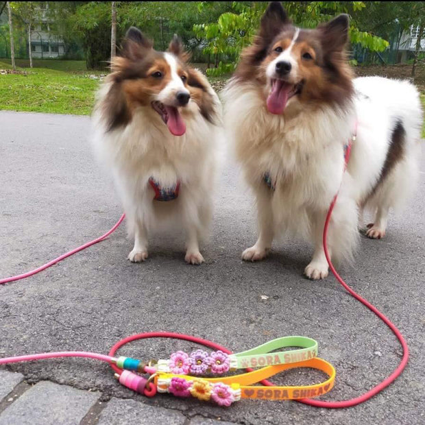 Flat Handle Rope Leash