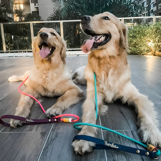 Flat Handle Rope Leash
