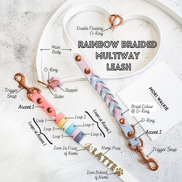 Rainbow Braided Multiway Leash