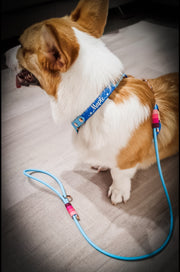 Rounded Rope Leash