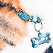 Blue Dog Collar