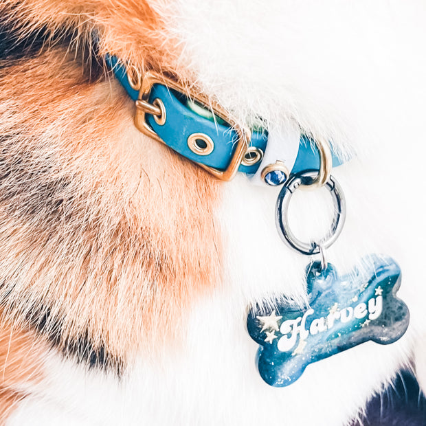 Blue Dog Collar