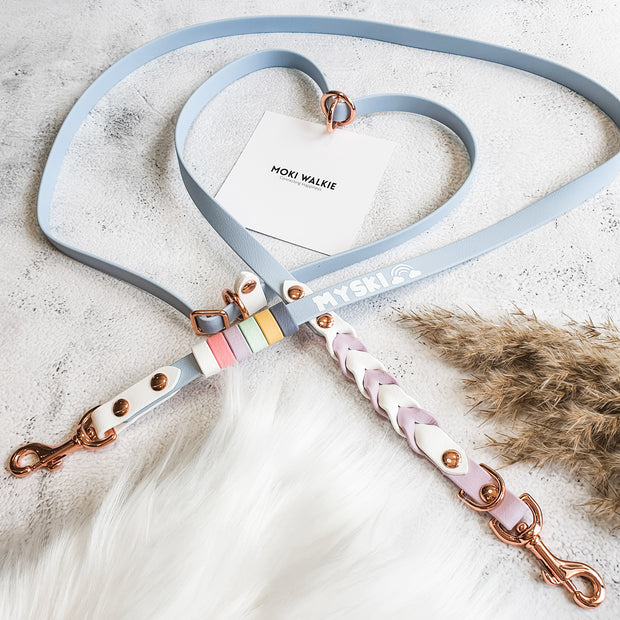 Rainbow Braided Multiway Leash