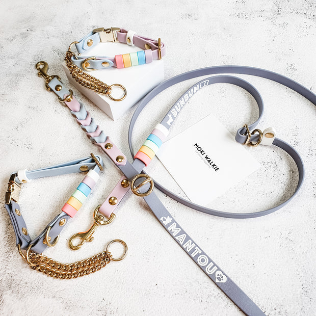 Rainbow Braided Multiway Leash