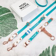 Rainbow Braided Multiway Leash