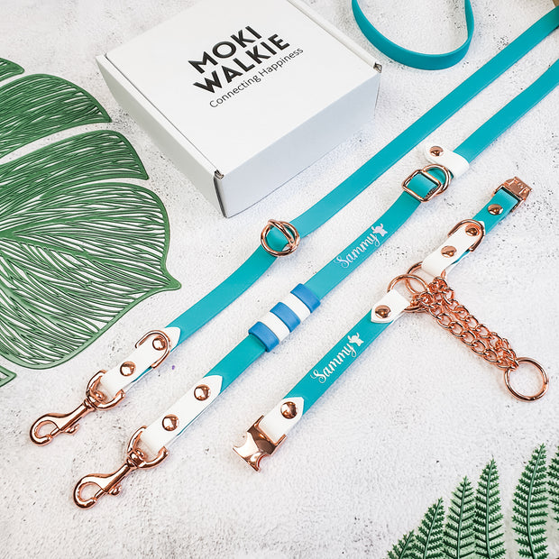 Rainbow Braided Multiway Leash