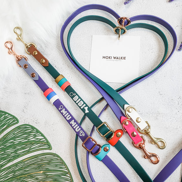 Rainbow Braided Multiway Leash