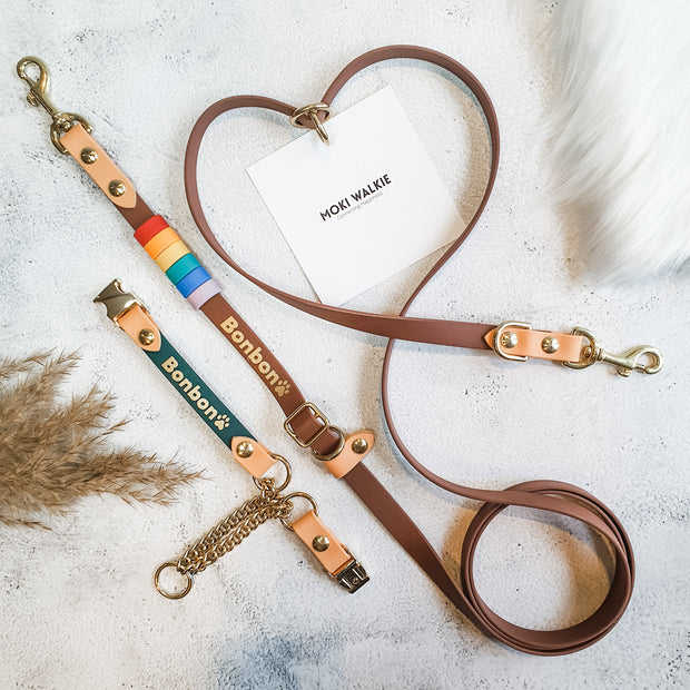 Rainbow Braided Multiway Leash
