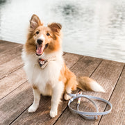 Rainbow Braided Multiway Leash